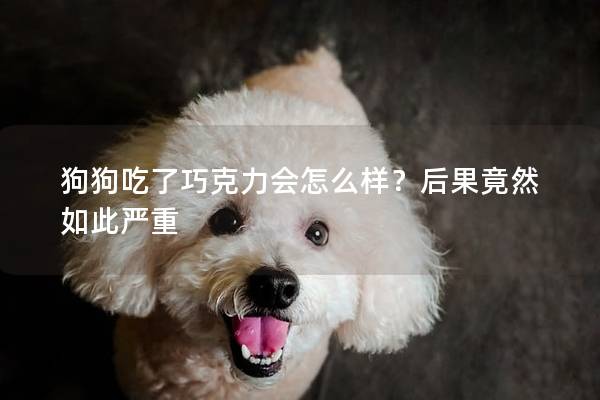 狗狗吃了巧克力会怎么样？后果竟然如此严重