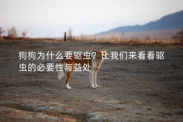狗狗为什么要驱虫？让我们来看看驱虫的必要性与益处
