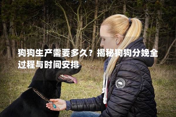 狗狗生产需要多久？揭秘狗狗分娩全过程与时间安排