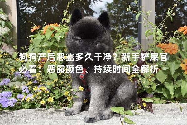 狗狗产后恶露多久干净？新手铲屎官必看：恶露颜色、持续时间全解析