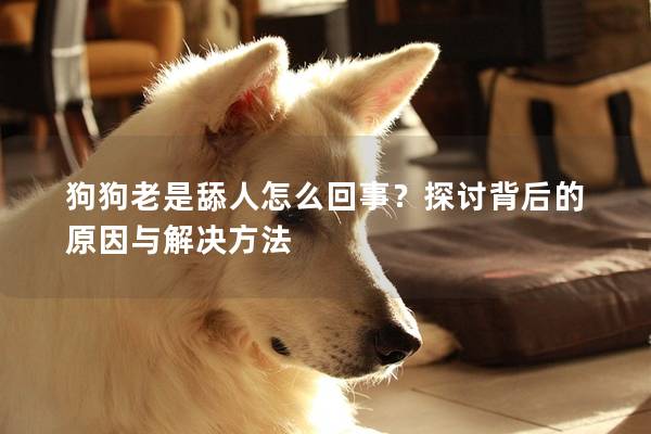 狗狗老是舔人怎么回事？探讨背后的原因与解决方法