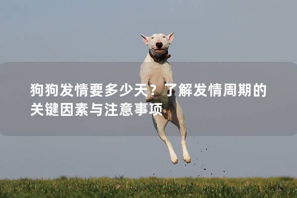 狗狗发情要多少天？了解发情周期的关键因素与注意事项