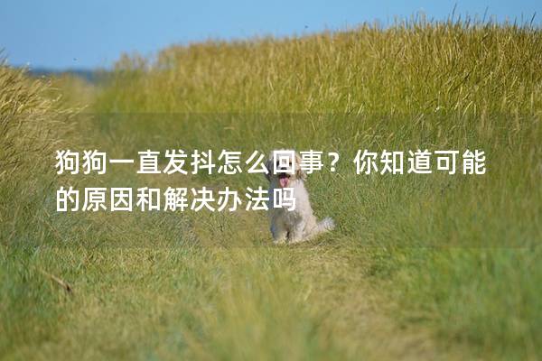 狗狗一直发抖怎么回事？你知道可能的原因和解决办法吗