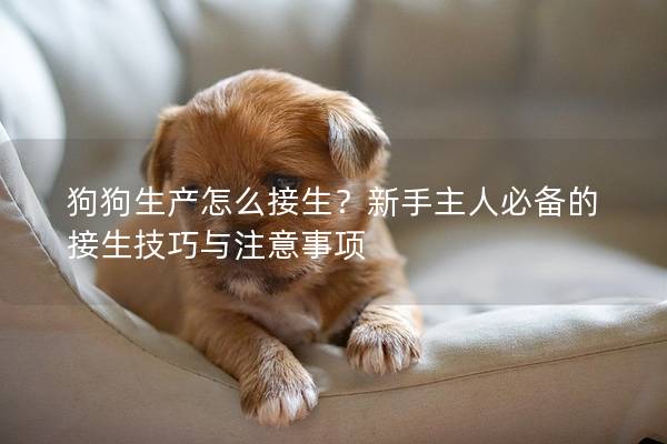 狗狗生产怎么接生？新手主人必备的接生技巧与注意事项