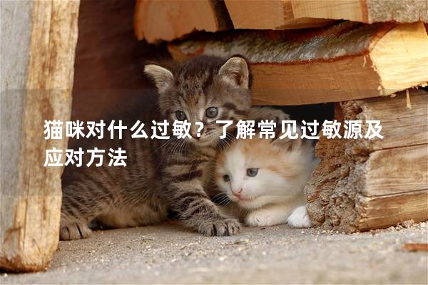 猫咪对什么过敏？了解常见过敏源及应对方法