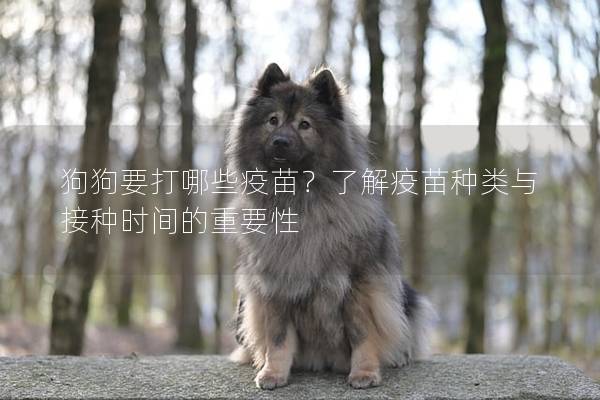 狗狗要打哪些疫苗？了解疫苗种类与接种时间的重要性