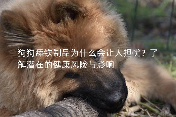 狗狗舔铁制品为什么会让人担忧？了解潜在的健康风险与影响