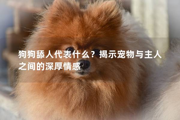 狗狗舔人代表什么？揭示宠物与主人之间的深厚情感