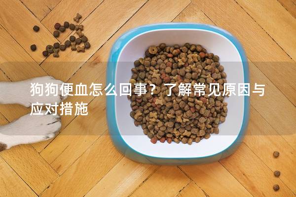 狗狗便血怎么回事？了解常见原因与应对措施