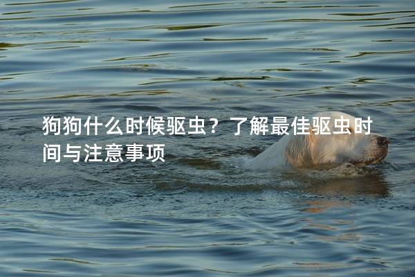 狗狗什么时候驱虫？了解最佳驱虫时间与注意事项