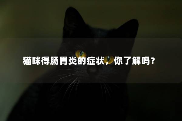 猫咪得肠胃炎的症状，你了解吗？