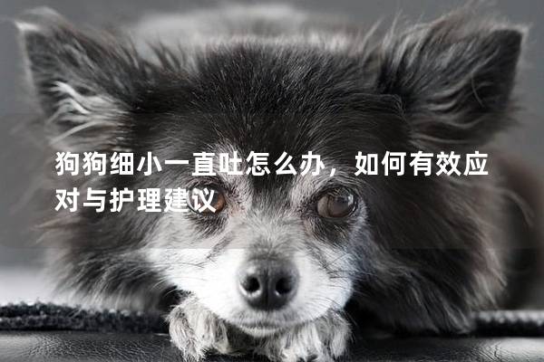 狗狗细小一直吐怎么办，如何有效应对与护理建议