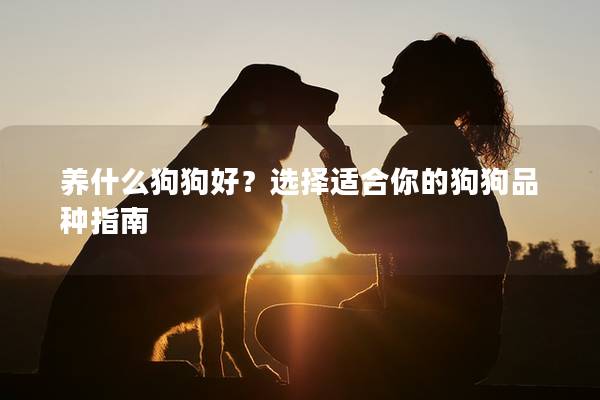 养什么狗狗好？选择适合你的狗狗品种指南