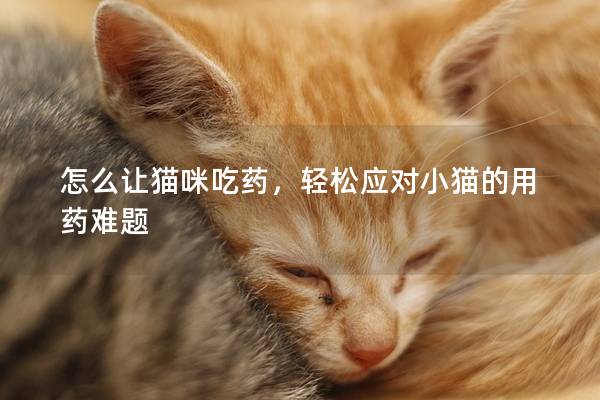 怎么让猫咪吃药，轻松应对小猫的用药难题