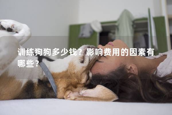 训练狗狗多少钱？影响费用的因素有哪些？