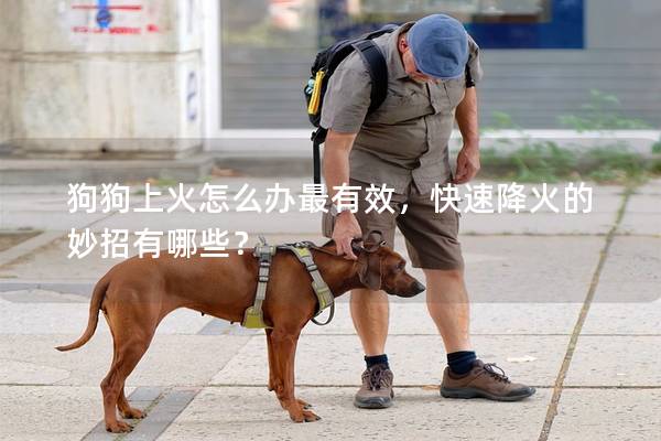 狗狗上火怎么办最有效，快速降火的妙招有哪些？