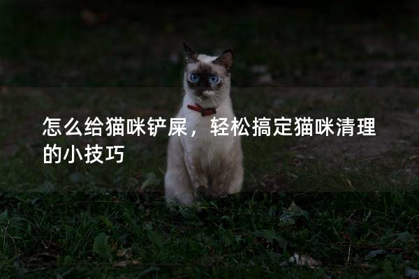 怎么给猫咪铲屎，轻松搞定猫咪清理的小技巧
