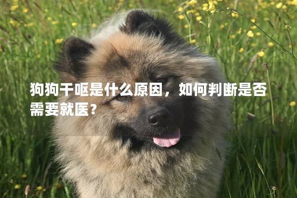 狗狗干呕是什么原因，如何判断是否需要就医？