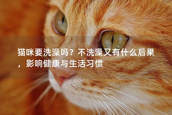 猫咪要洗澡吗？不洗澡又有什么后果，影响健康与生活习惯