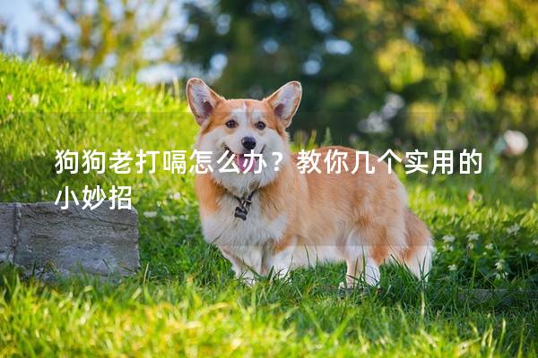 狗狗老打嗝怎么办？教你几个实用的小妙招