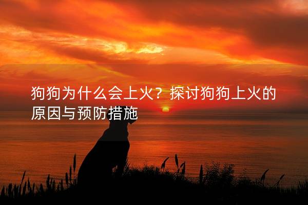 狗狗为什么会上火？探讨狗狗上火的原因与预防措施