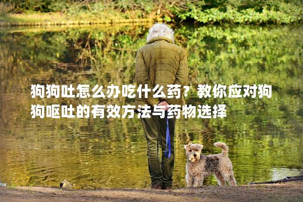 狗狗吐怎么办吃什么药？教你应对狗狗呕吐的有效方法与药物选择