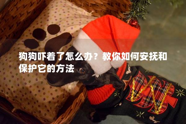 狗狗吓着了怎么办？教你如何安抚和保护它的方法