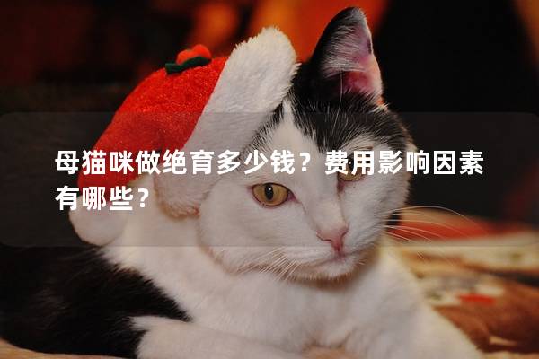 母猫咪做绝育多少钱？费用影响因素有哪些？