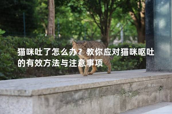 猫咪吐了怎么办？教你应对猫咪呕吐的有效方法与注意事项