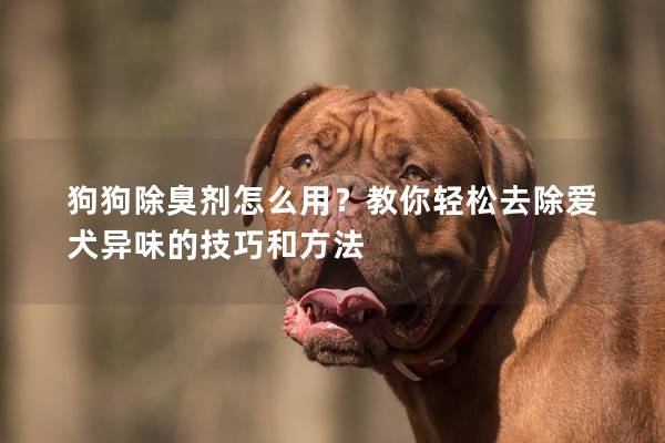 狗狗除臭剂怎么用？教你轻松去除爱犬异味的技巧和方法