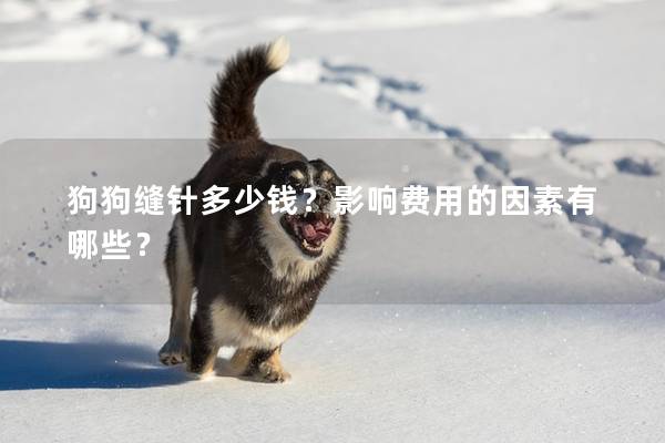 狗狗缝针多少钱？影响费用的因素有哪些？