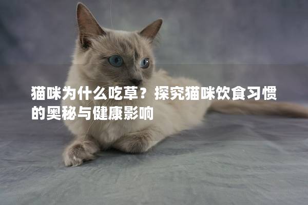 猫咪为什么吃草？探究猫咪饮食习惯的奥秘与健康影响