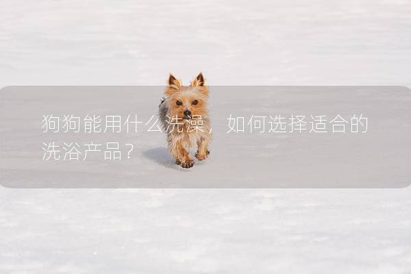 狗狗能用什么洗澡，如何选择适合的洗浴产品？
