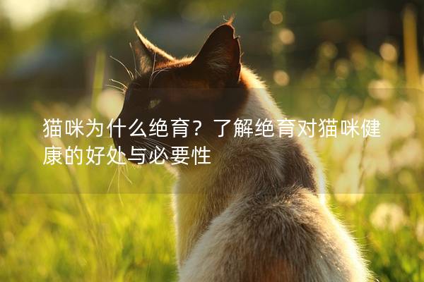 猫咪为什么绝育？了解绝育对猫咪健康的好处与必要性