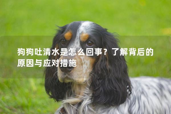 狗狗吐清水是怎么回事？了解背后的原因与应对措施