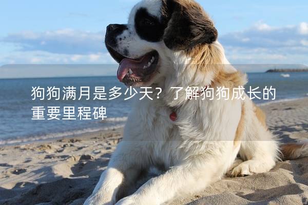 狗狗满月是多少天？了解狗狗成长的重要里程碑