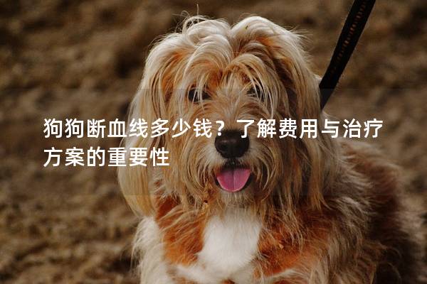 狗狗断血线多少钱？了解费用与治疗方案的重要性