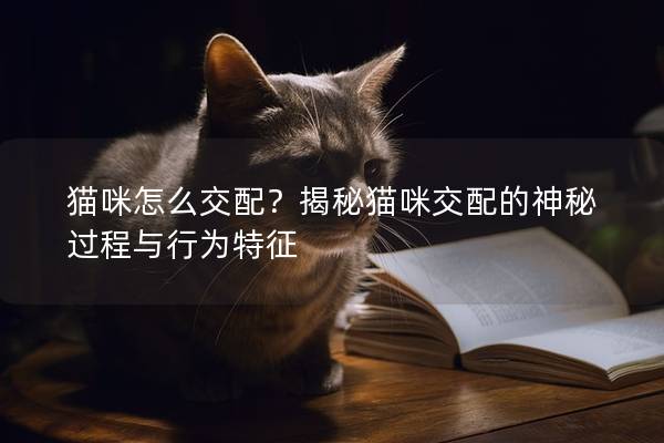 猫咪怎么交配？揭秘猫咪交配的神秘过程与行为特征