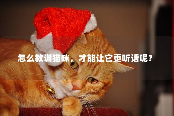 怎么教训猫咪，才能让它更听话呢？