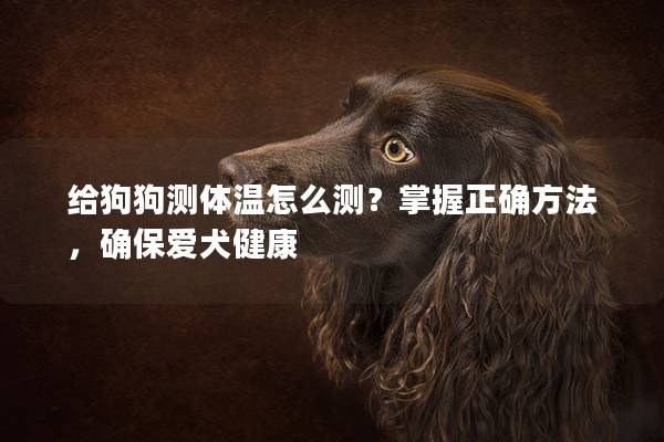 给狗狗测体温怎么测？掌握正确方法，确保爱犬健康