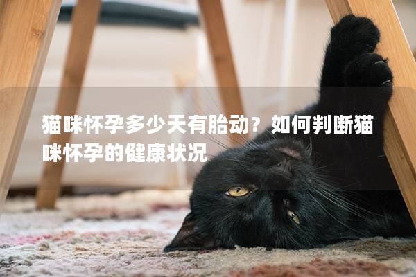 猫咪怀孕多少天有胎动？如何判断猫咪怀孕的健康状况