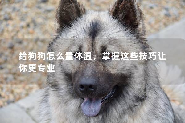 给狗狗怎么量体温，掌握这些技巧让你更专业