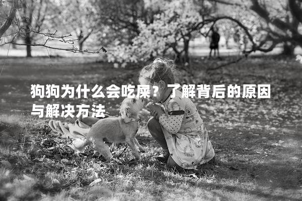狗狗为什么会吃屎？了解背后的原因与解决方法