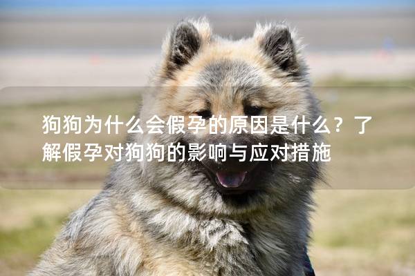 狗狗为什么会假孕的原因是什么？了解假孕对狗狗的影响与应对措施