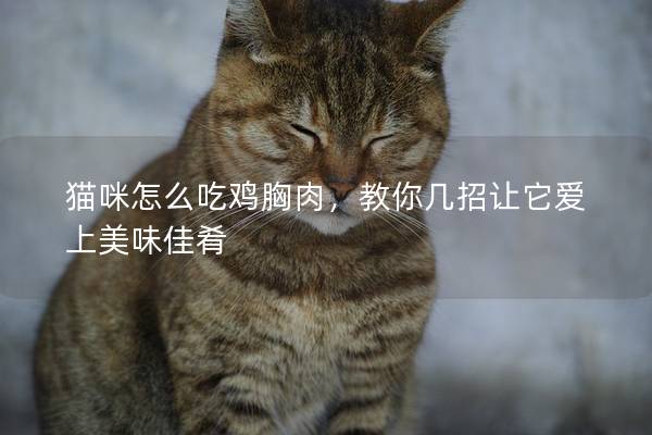 猫咪怎么吃鸡胸肉，教你几招让它爱上美味佳肴