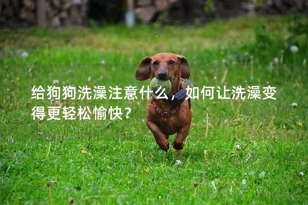给狗狗洗澡注意什么，如何让洗澡变得更轻松愉快？