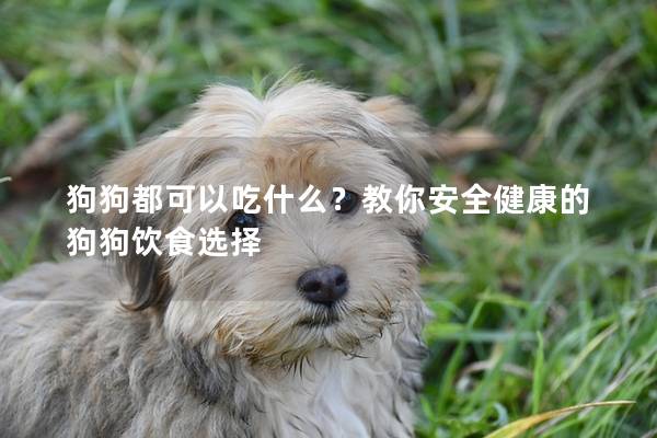 狗狗都可以吃什么？教你安全健康的狗狗饮食选择