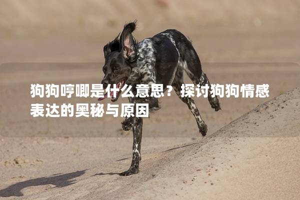 狗狗哼唧是什么意思？探讨狗狗情感表达的奥秘与原因