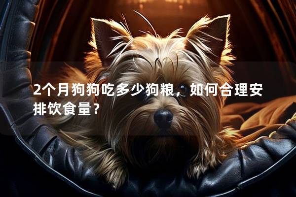 2个月狗狗吃多少狗粮，如何合理安排饮食量？