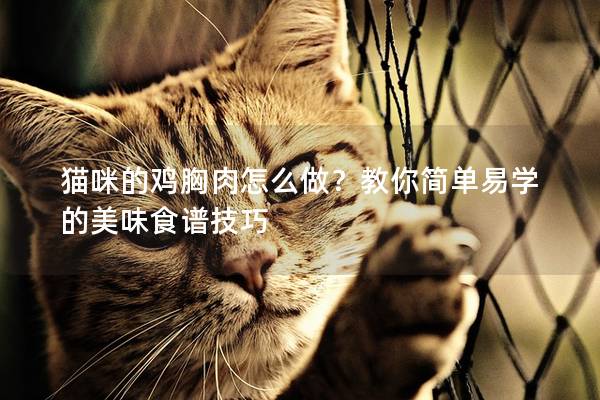 猫咪的鸡胸肉怎么做？教你简单易学的美味食谱技巧